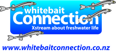 Whitebait connection Logo-REVERSED-Final